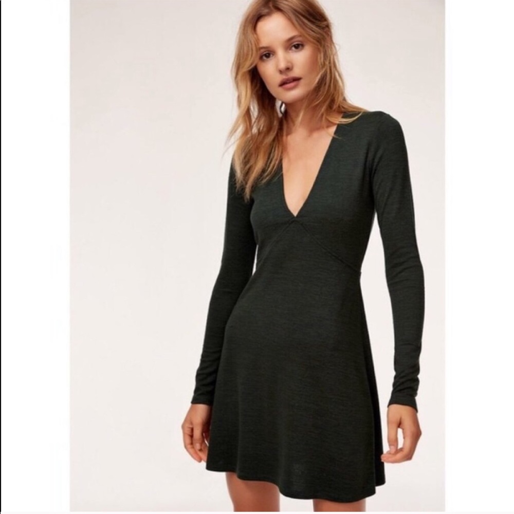 Aritzia Dress